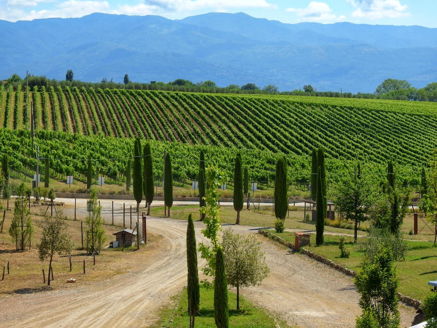 Une ferme éducative en Toscane pour vos vacances en famille!
