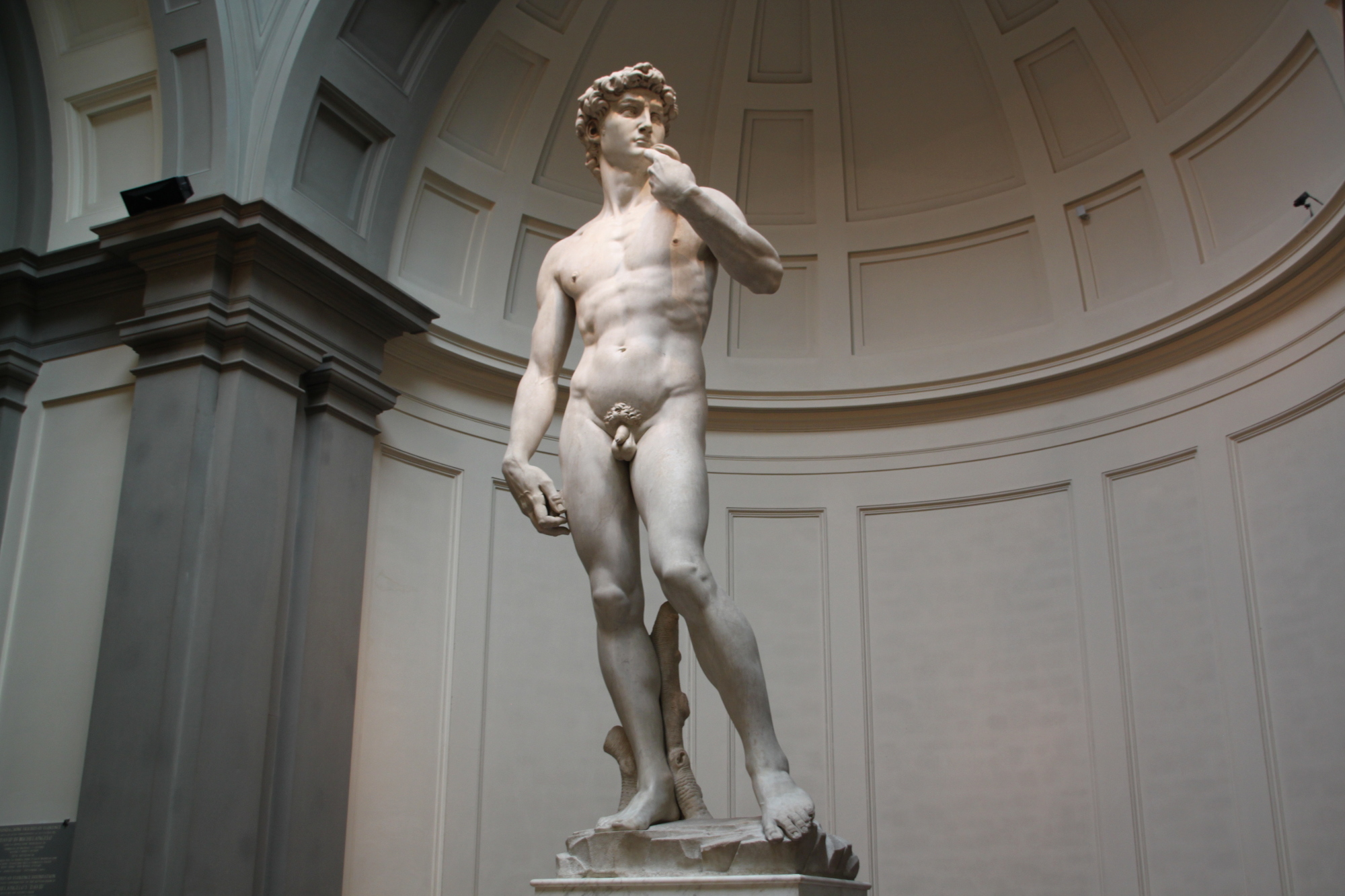 Florence in a day Guided Tour