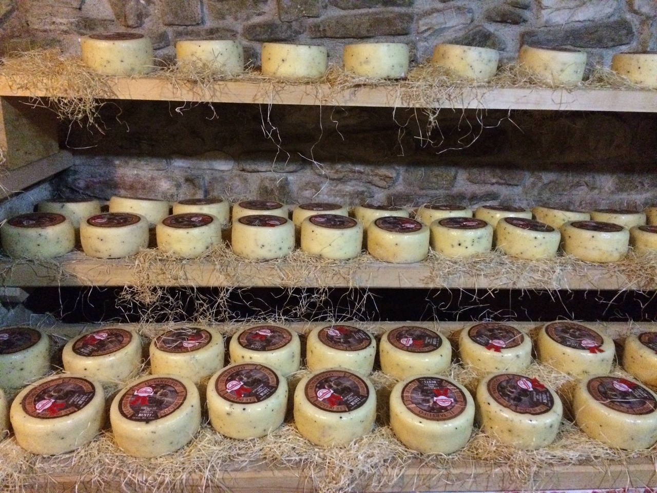 Gourmet Florence Walking Tour