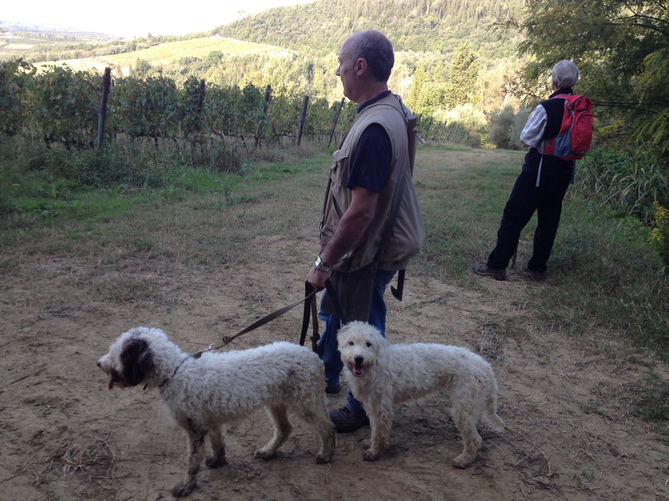 Truffle Hunt in the Woods of Tuscany